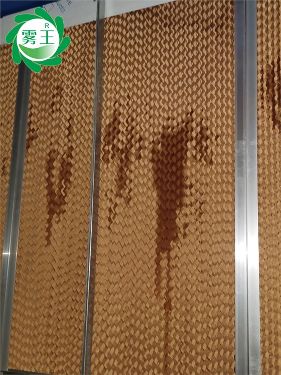 醫(yī)療機械車間空調機組高壓微霧加濕器 (5)
